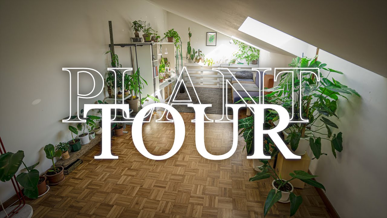 plant tour 2022