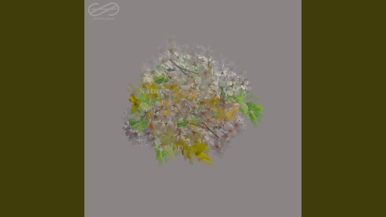 Watch NAM on YouTube