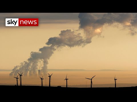 Climate: Almost 12m people in UK 'at risk' from heatwaves