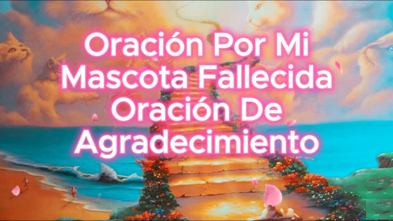 Oración por mi Mascota Fallecida, Oración de agradecimiento