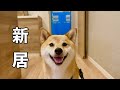 お引っ越し完了、ふたり暮らしが始まりました。