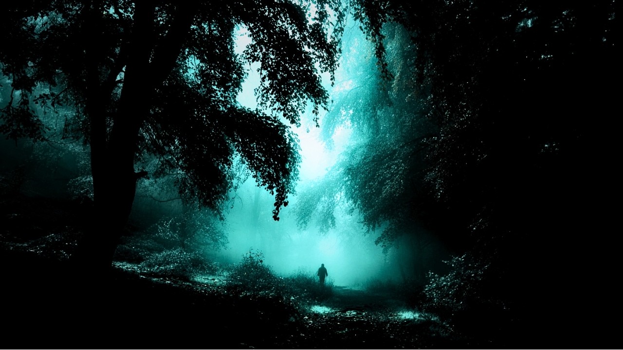 You Stayed After Sunset- Forest Ambient (90 Minutes)