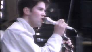 Lloyd Cole & The Commotions - Interview + Mr Malcontent (Ibrox Park)