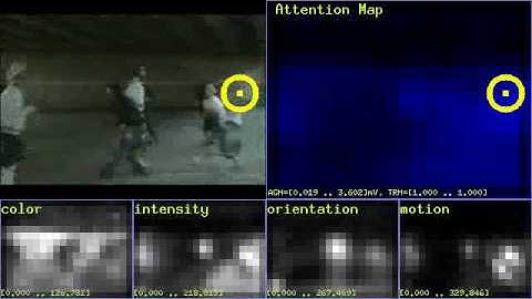 Computational model of attention accounts for attentional blindness