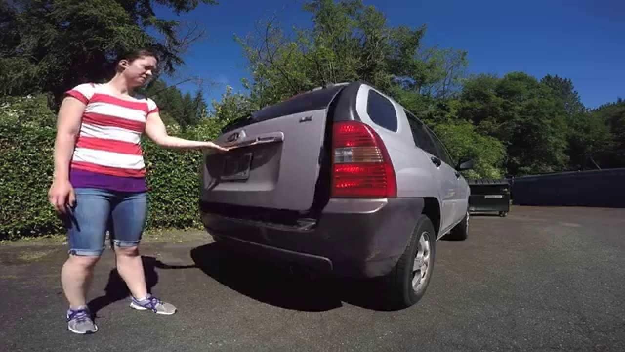 How to teach your dog not to jump out of the car YouTube