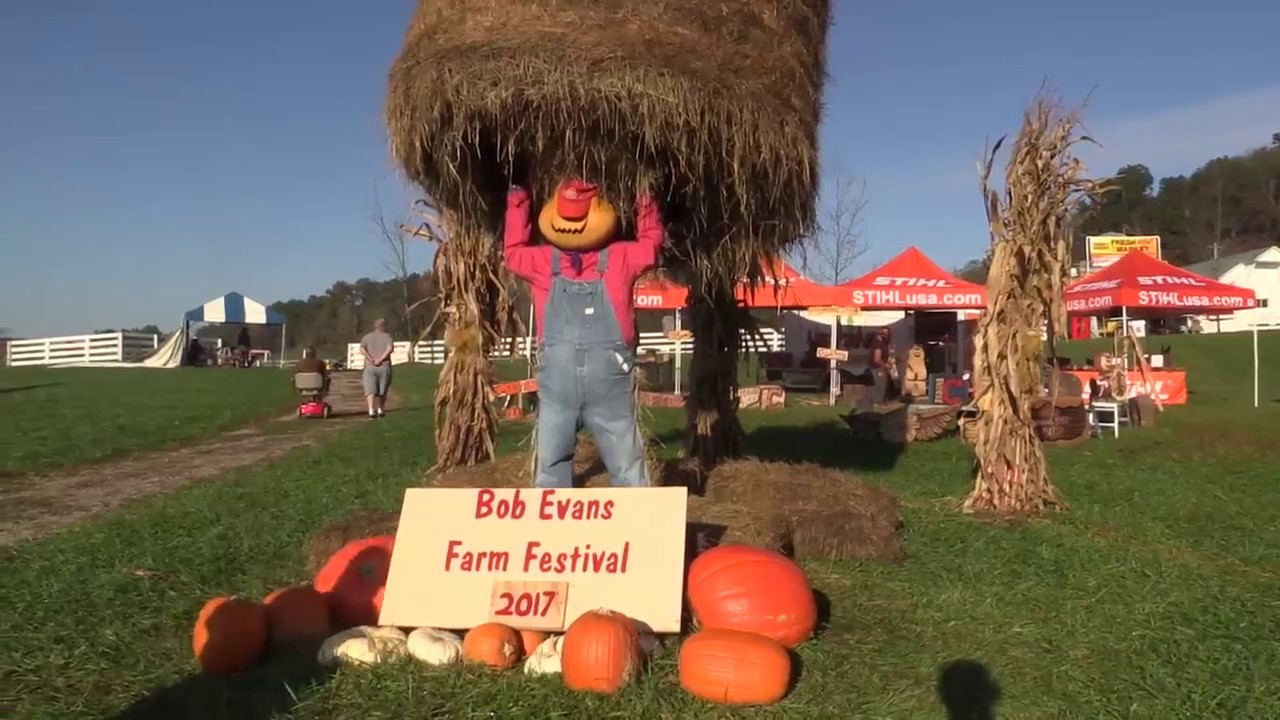 47th Annual Farm Festival YouTube