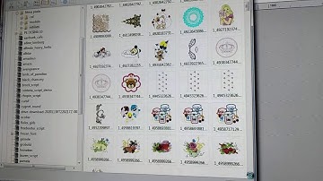 Como visualizar as matrizes e converter no Pe desing 10