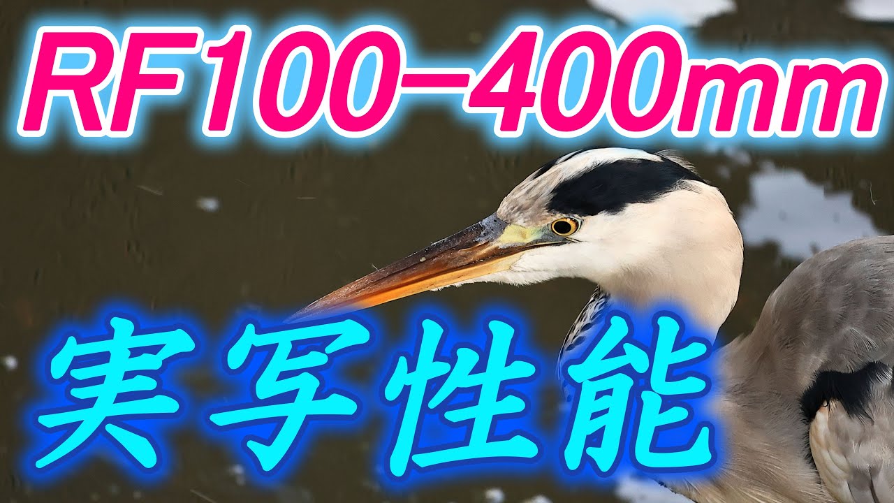 RF100-400mm F5.6-8 IS USM, реальные характеристики стрельбы