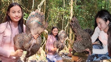 hunting yos hav zoov tua na nyob rau qub zog noom taum qaib /13/2/ 2022