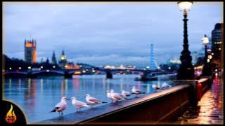 1 Hour Jazz Music | City Jazz | Relaxing Jazz Lounge Music