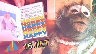 Маруську с шестнадцатилетием!🎉 и поговорим😉