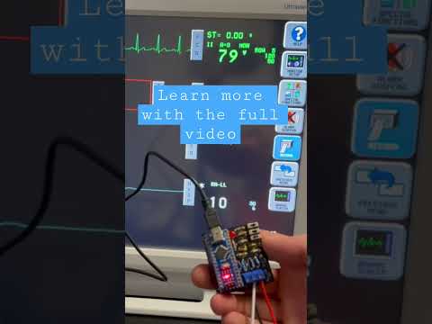 Innovative Project Biomotive Biomaterials for Cars in the USA: A Sustainable Future