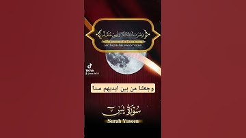 سورة يسن #اكسبلور #quran #تيك_توك #المصحف #دويتو #العظماء #صباح_الخير #لايك #ترند #حالات_واتس