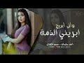 ابريني الذمة واني ابريج  توبة عليا من احاجيك   احمد سليمان  دبكات طرب     