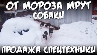 От мороза мрут собаки / Продажа спецтехники