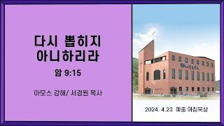 다시 뽑히지 아니하리라 (암9:15) 서경원 목사