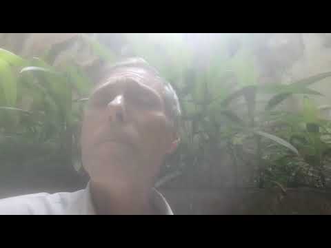 Dr. uronale zancan ketogene Diät