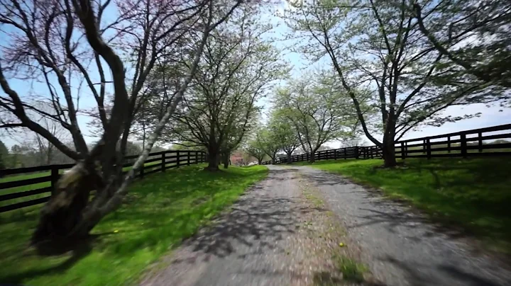 Joe Cagle - Dogwoods EP - Behind the Music