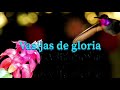 Vasijas de gloria