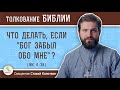 Что делать, если "Бог забыл обо мне" ? (Мк. 4:38)  Священник Стахий Колотвин