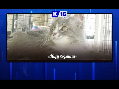 Героями очередного выпуска