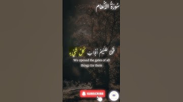 اكتب شيء تؤجر عليه 🤍 🤲🏻 #quran #اسلام #قرآن #راحة_نفسية #سورة_الأنعام