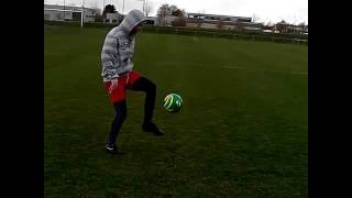 Ronse belgei