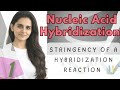 Part I: Stringency of the Hybridization Reaction –  Nucleic Acid Hybridization