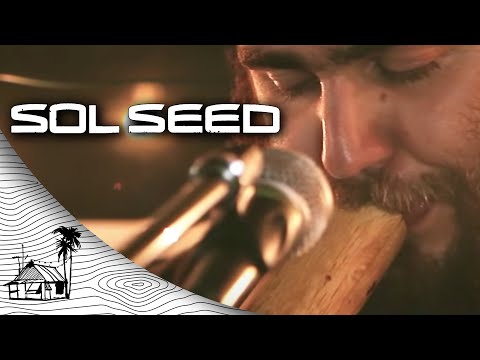 Sol Seed - Family Tree (Live Acoustic) | Sugarshack Sessions