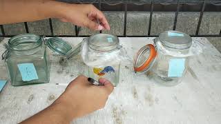 Roselo- Laboratory 12-Experiment No. 8 Global Warming In A Jar