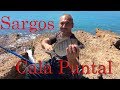 Corcheo mar: Sargos en Cala puntal Vinarós. Impresionante