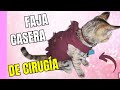 ¿Como hacer una faja para gatos y perros después de la esterilización? | ANIMALTIME🐾