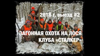Загонная охота на лося Клуба "Сталкер", 2 выезд, 2018 год Загонная охота на лося Клуба "Сталкер", 2 выезд, 2018 год