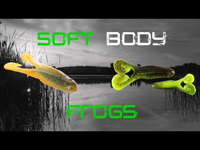 Soft Body Frogs: Everything You Need to Know 