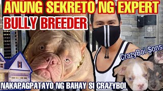 PAANO MAGALAGA NG HEALTHY EXOTIC BULLY PUPPIES | COMPLETE VITAMINS & SUPPLEMENTS GUIDE