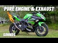 Ninja 400 pure engine  exhaust noise  leovince exhaust flybys cold start  revving