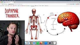 &quot;Dopamine Transfer&quot; is The Fastest Path To Millionaire in 2025