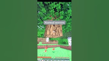 Normal minecraft servers v.s. CatCraft
