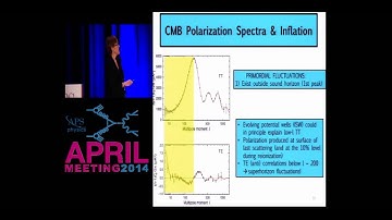 Probing the First Instants & the Rest of the Universe with Polarized Signatures in the CMB