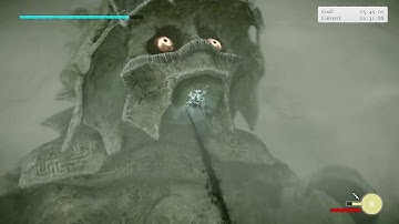 Shadow of the Colossus (PS4) Hard Time Attack: Colossus 9 (Basaran)