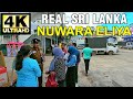 Nuwara eliya walking tour in sri lanka   4k 60fpsr street sounds asmr no talk