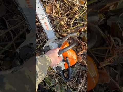 STIHL - MS