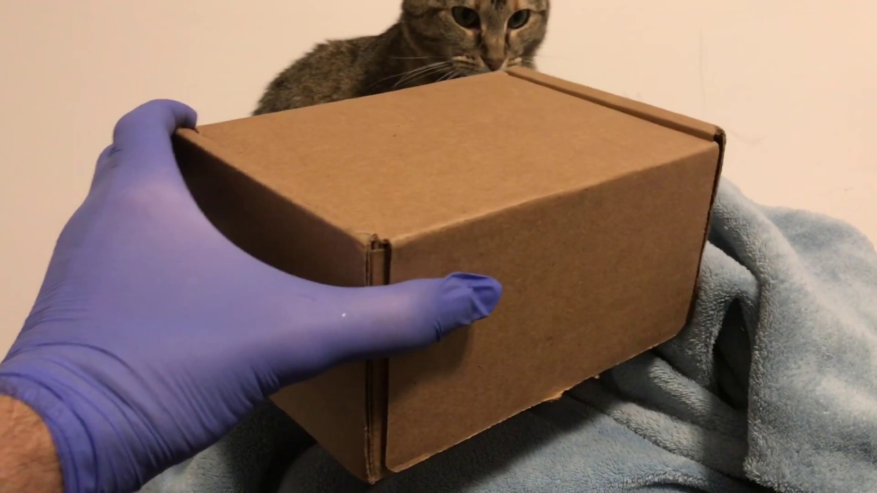 Mystery Silver Unboxing