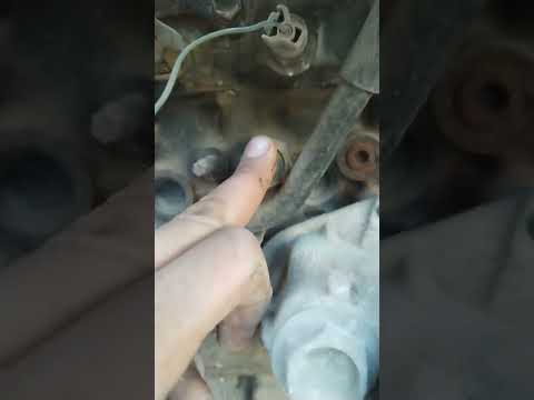 جوز المكينه بطه