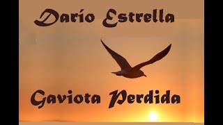 dario estrella gaviota perdida