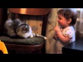 Ребёнок ругается с кошкой! Дочка и кошка!   я долго ржал)