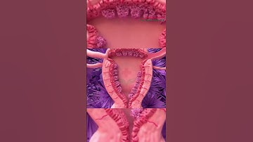 Kinh nguyệt ra ít, nguyên nhân là gì?