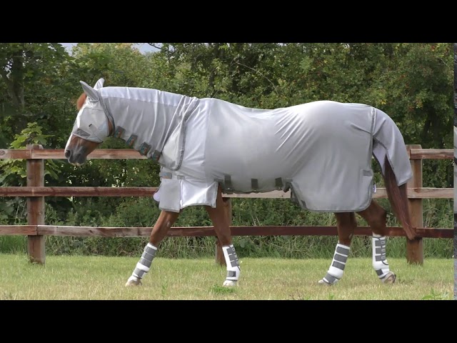 Janice Brug for Pearly Magni-Teque Magnetic Horse Rug with Neck Cover £178 - YouTube