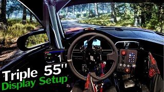 DiRT Rally 2.0 | Sliding Through the Forests of Germany in the Porsche 911 | Fanatec CSL DD