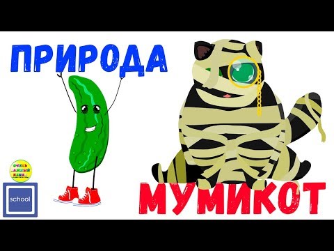 #Мумикот живая и неживая природа. Развивающие мультики